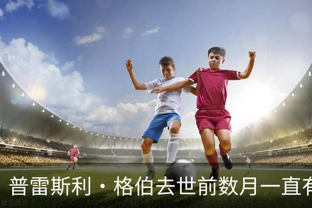 普雷斯利·格伯去世前数月一直有全天候戒断陪护