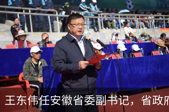 王东伟任安徽省委副书记，省政府党组书记、代省长，曾在财政部先后工作28年